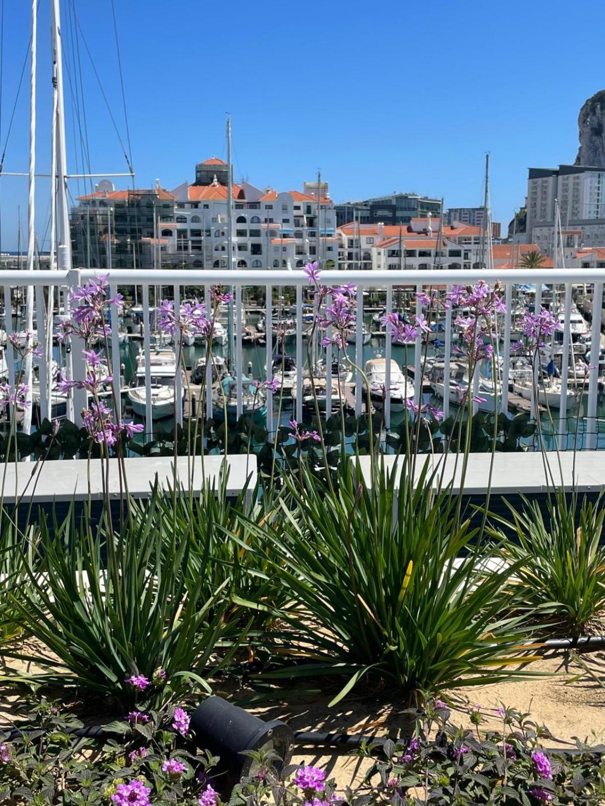 Marina Club Luxury Private Studio With Pool And Incredible Views Gibraltar Luaran gambar